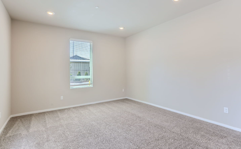 A room with a carpeted floor and a window.
