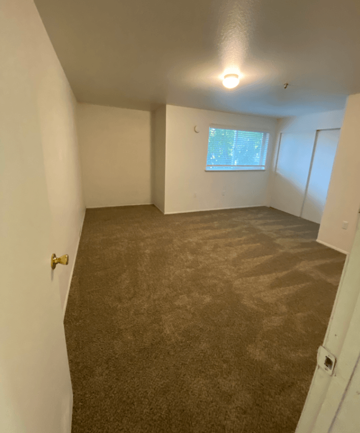 a room with a carpeted floor and a window