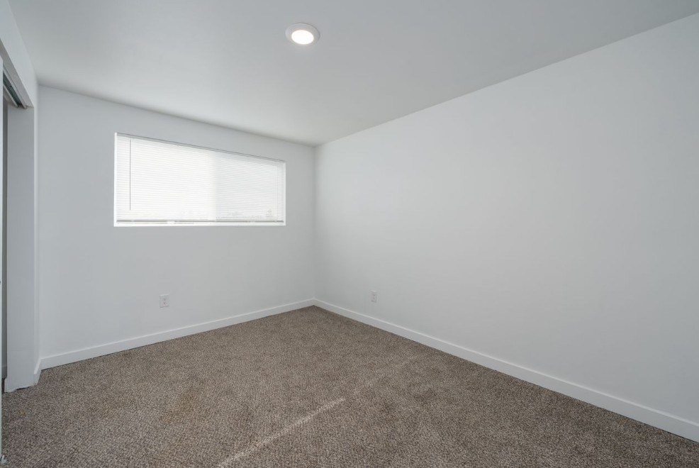 A room with a carpeted floor and a window.
