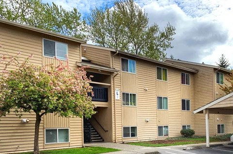 a yellow apartment building with a tree in front of it