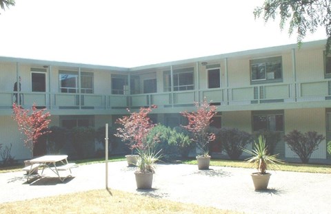 A building with a white background and a green lawn in front.