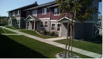 a row of houses with sidewalk and trees in front of them