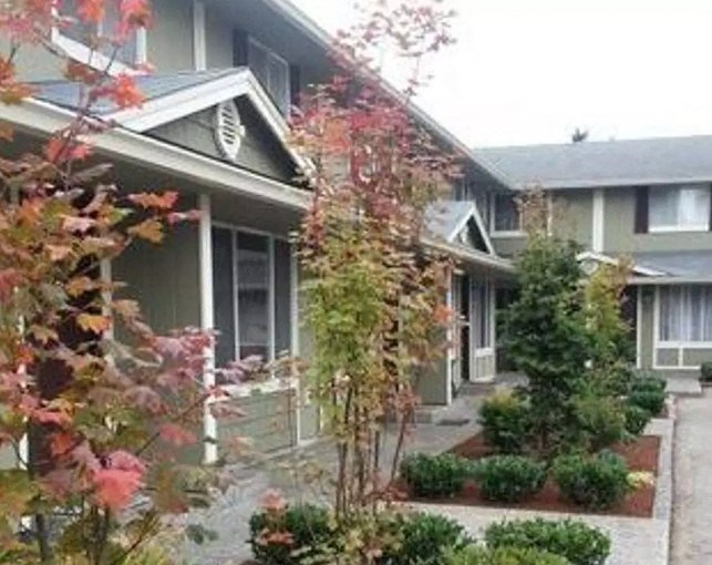 a row of houses with trees and bushes in front of them