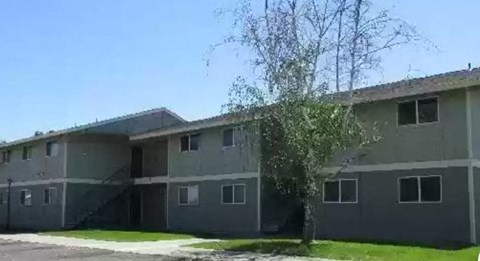 an apartment building with a tree in front of it