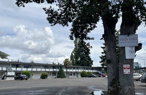 A tree stands in front of a Twin Oaks Apartments sign.