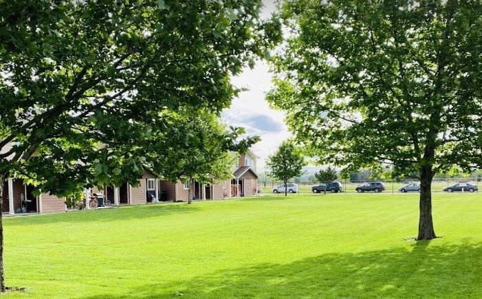 a field of grass with trees and houses