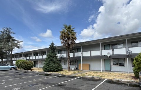 A parking lot in front of a multi-story apartment building with a palm tree in the foreground.