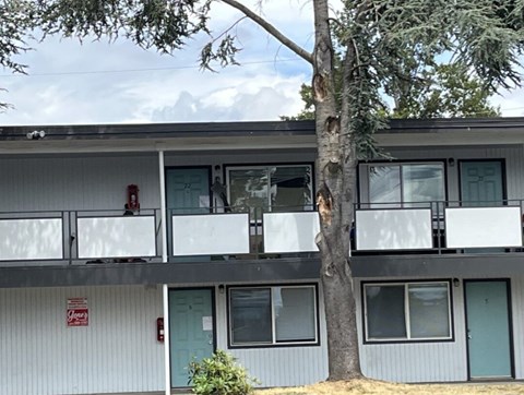 A tree is in front of a grey building with a balcony.