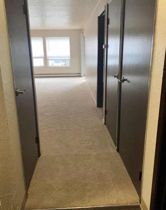 a hallway with a carpeted floor and two doors