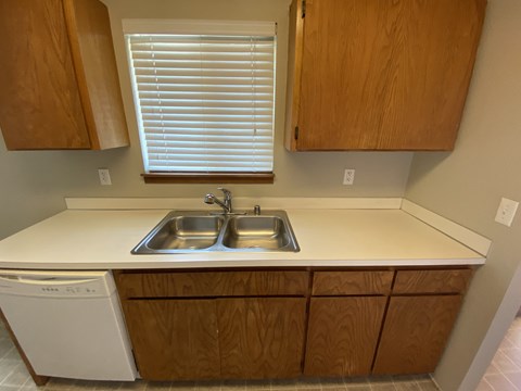a kitchen with a sink and cabinets and a window