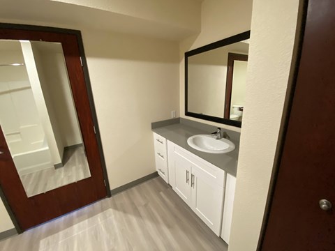 A bathroom with a sink and mirror.