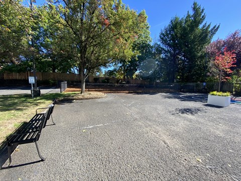 A park with a bench and a tree.