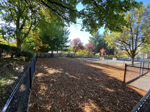 A park with a fence and trees.