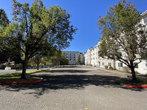 A tree-lined street with apartment buildings in the background.