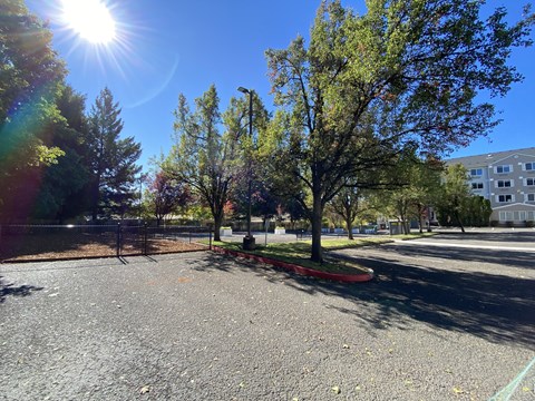 A sunny day in a parking lot with a few trees and a building in the background.