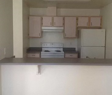 a kitchen with a stove and a refrigerator