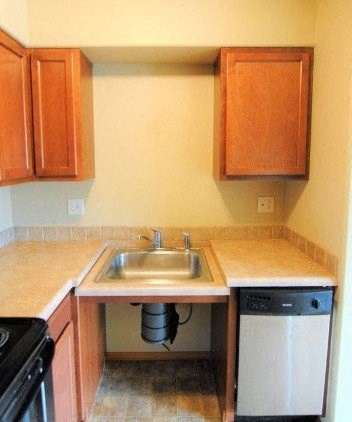 a small kitchen with a sink and a dishwasher