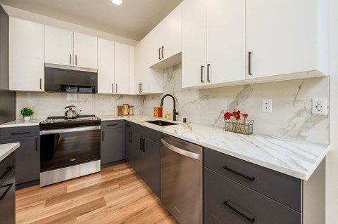 A kitchen with a stainless steel dishwasher and a stove top oven.