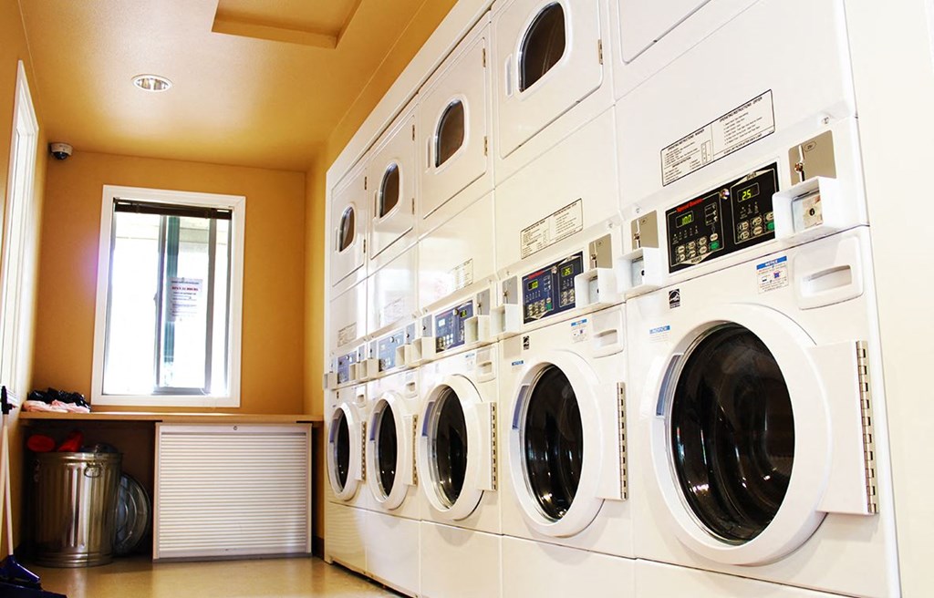 a washer and dryer in a laundry room with a window