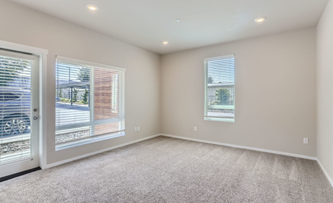 A room with a carpeted floor and two windows with blinds.
