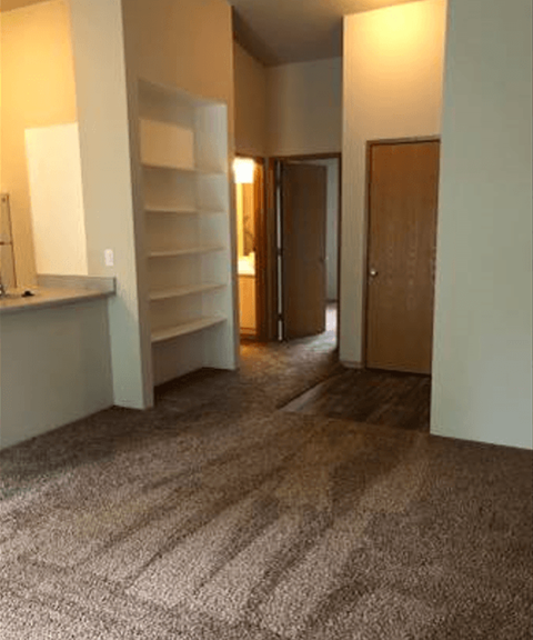 an empty room with a carpeted floor and a closet