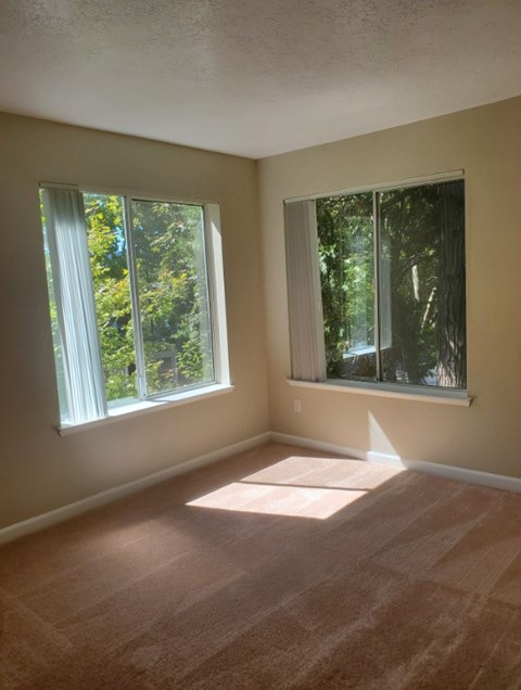 A room with two windows and a carpeted floor.