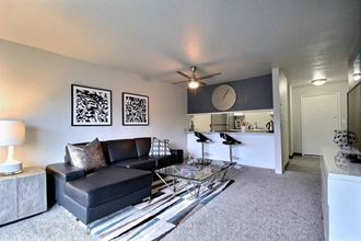 1020 W Casino Road Studio-1 Bed Apartment for Rent