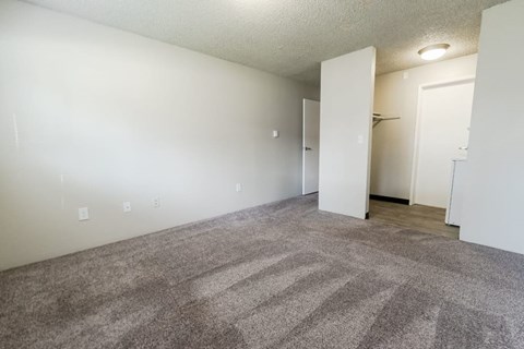 our apartments offer a living room with carpeting and a door to the bedroom