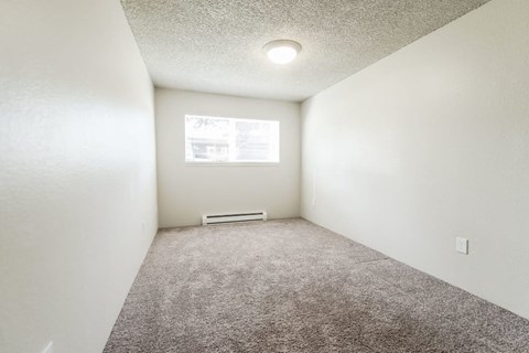 an empty room with carpet and a window