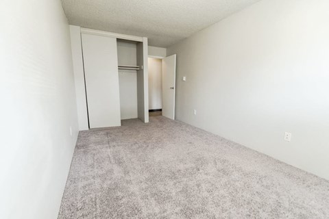 a bedroom with a closet and a carpeted floor