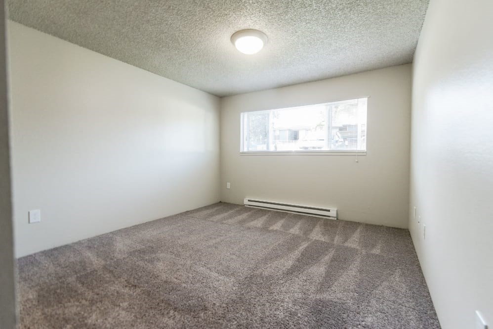 an empty room with carpet and a window