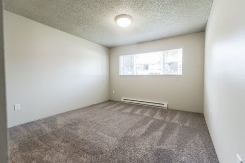 an empty room with carpet and a window