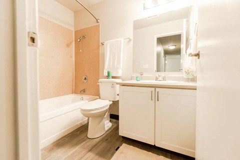 a bathroom with a sink toilet and a bath tub