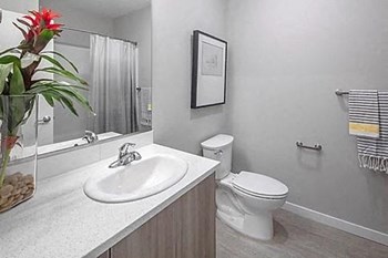 Alberta Arts Neighborhood, Floor to Ceiling Windows, Stainless Steel Appliances, Quartz Countertops, Washer and Dryer in Each Apartment Home