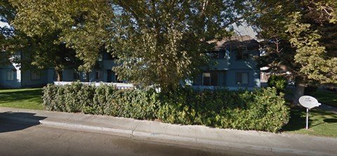 a blue house with a hedge in front of it