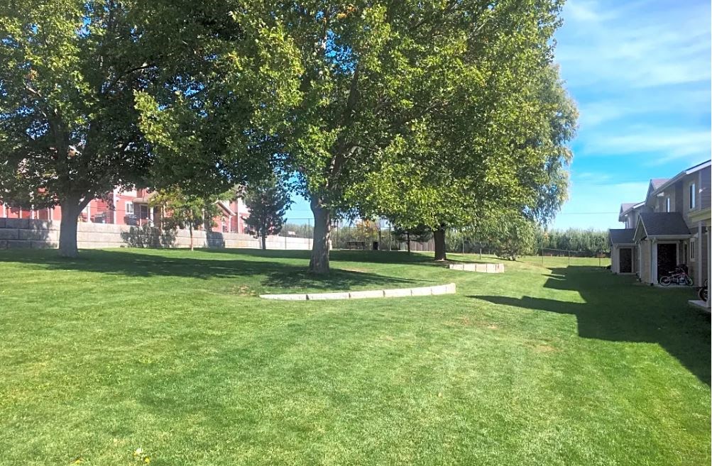 a yard with trees and a building in the background