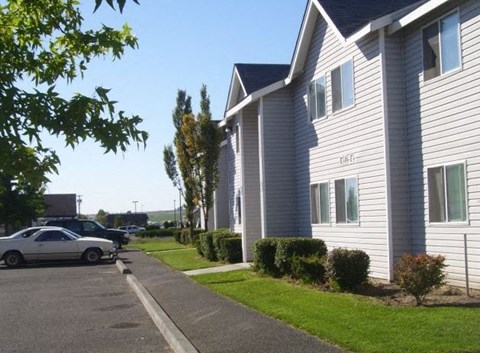 a street of houses with cars parked in front of them