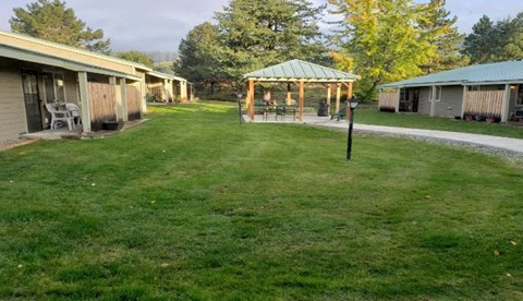 a yard with a gazebo in the middle of some buildings