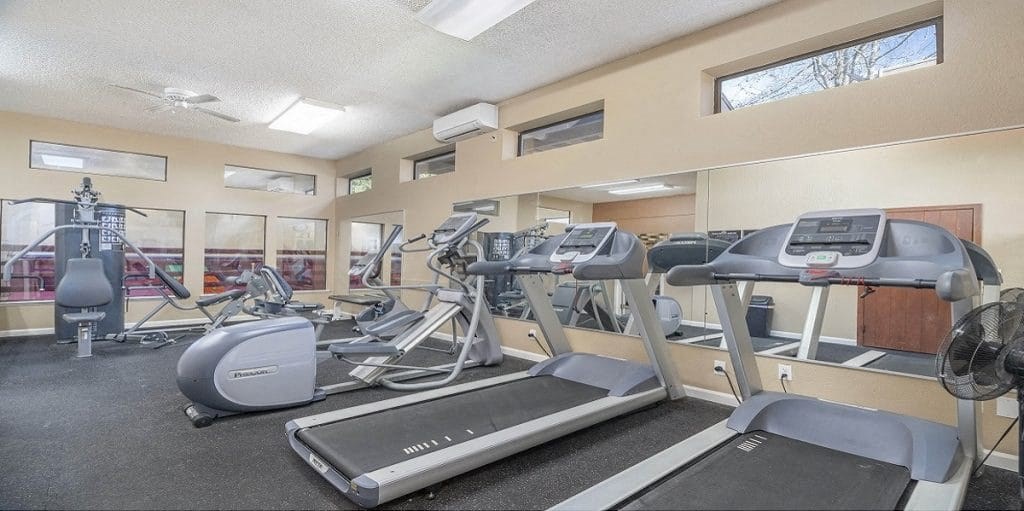 the gym is equipped with cardio equipment and weights