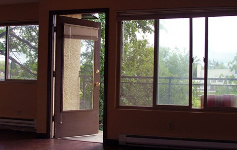 a living room with a door and three windows