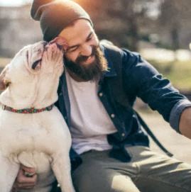 Market Village Apartments is a similar property to Mist Wood Apartments located in Fairview