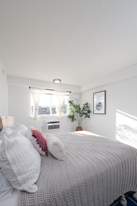 A bed with a white blanket and pillows is in the foreground of a room with a window and a plant.