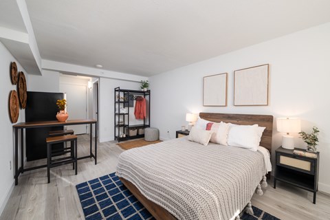 3518 Pacific Hwy East Studio-1 Bed Apartment for Rent
