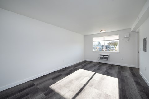 A room with a grey carpet and a window showing a street view.