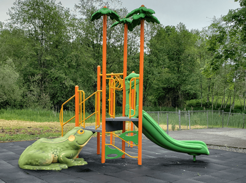 a playground with a frog swing set and a slide