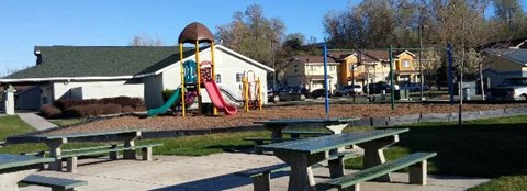 a park with a playground and picnic tables