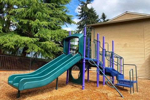 a playground with a blue slide and a green slide