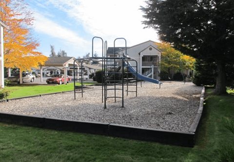 a playground in a yard in front of a house
