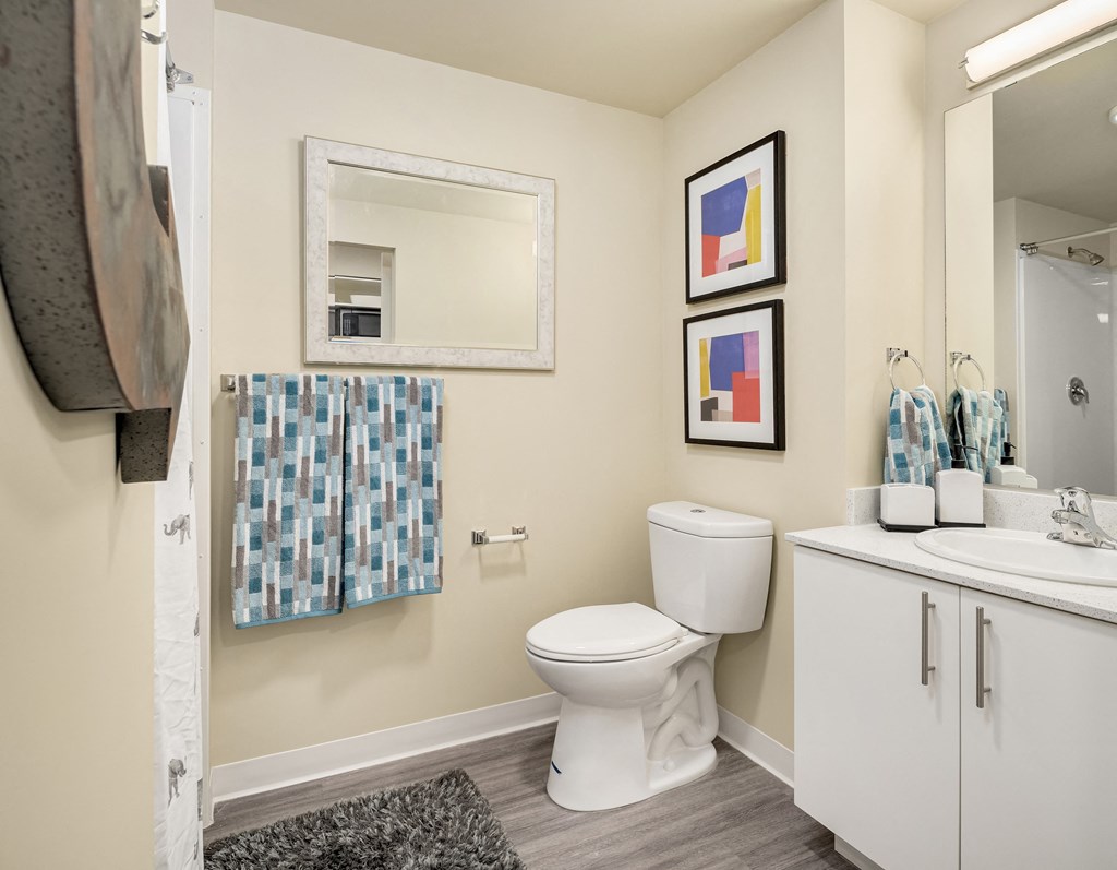 a bathroom with a toilet and a sink and a mirror