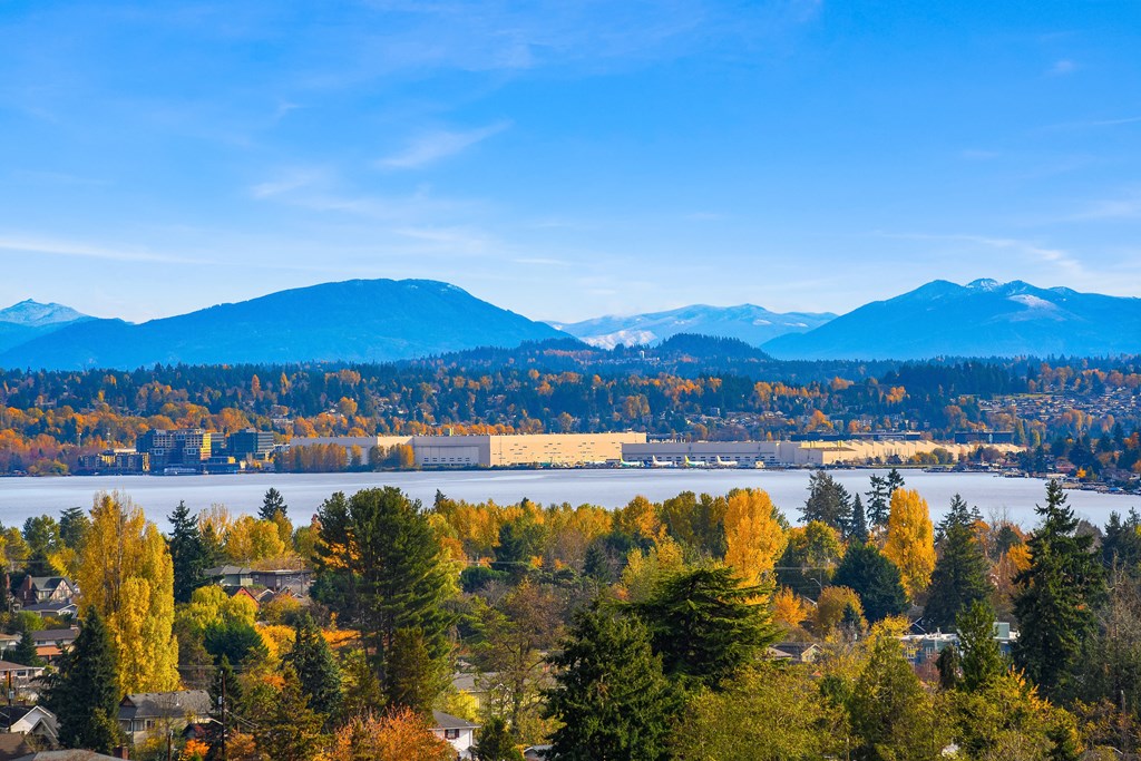 a view of a lake with mountains in the background